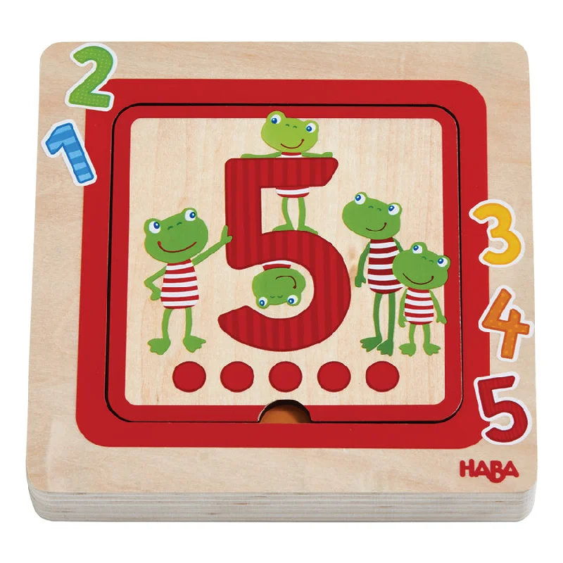 5 Layer Counting Puzzle