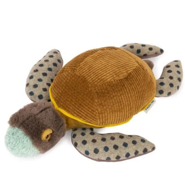 Autour du Mode Small Turtle