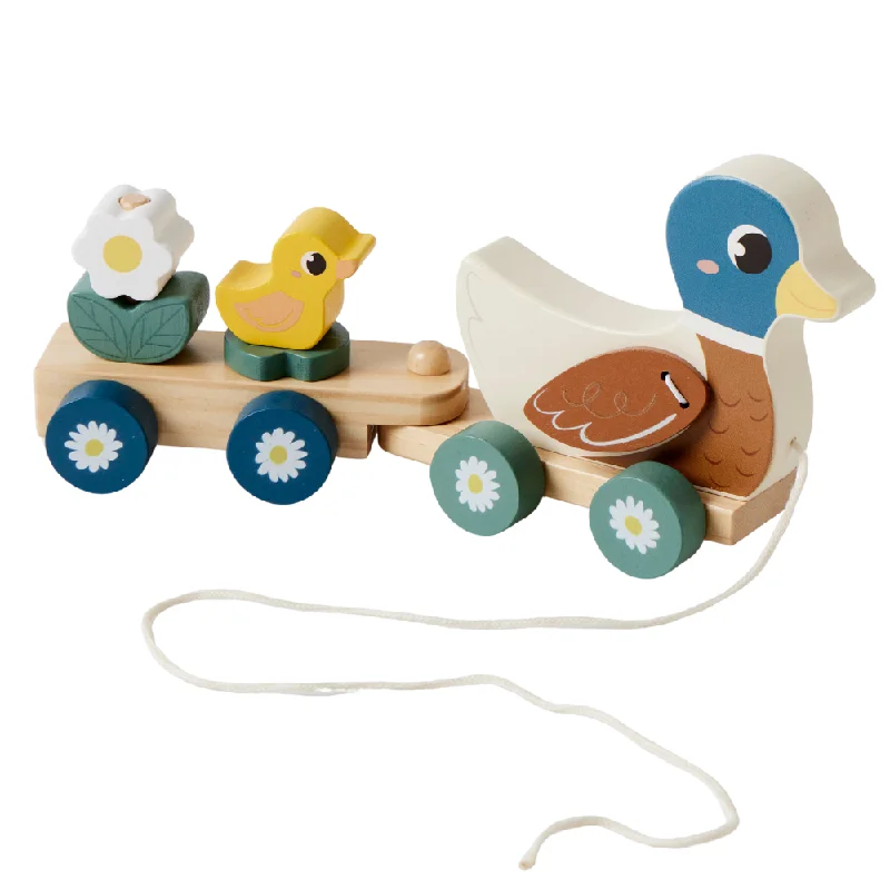 Pull Along Duck Train