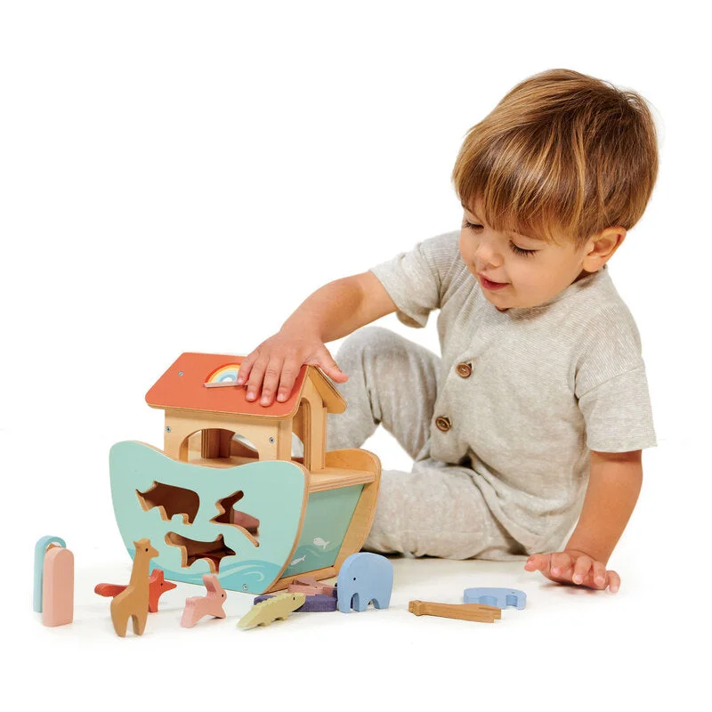 Little Noah's Shape Sorting Ark