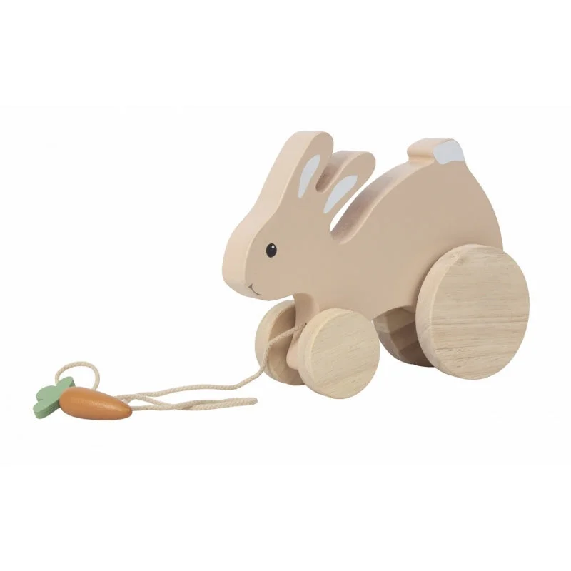 Pull Along Wooden Rabbit