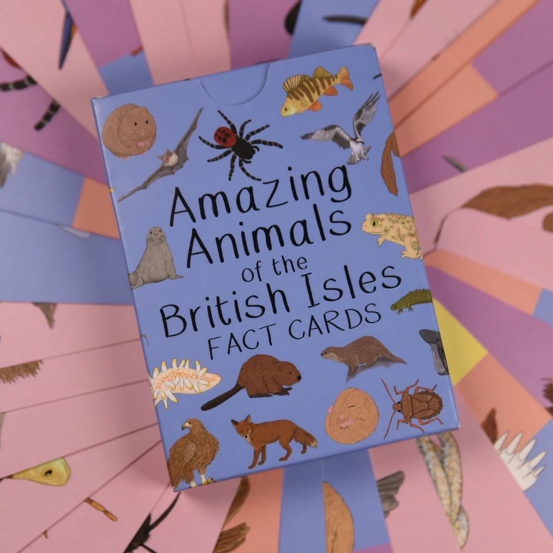 Button and Squirt: Amazing Animals of the British Isles Fact Cards