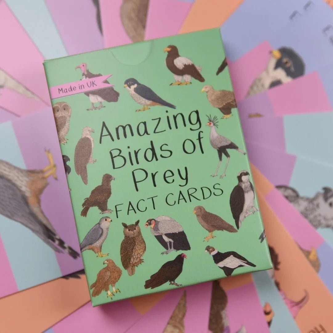 Button and Squirt: Amazing Birds of Prey Fact Cards