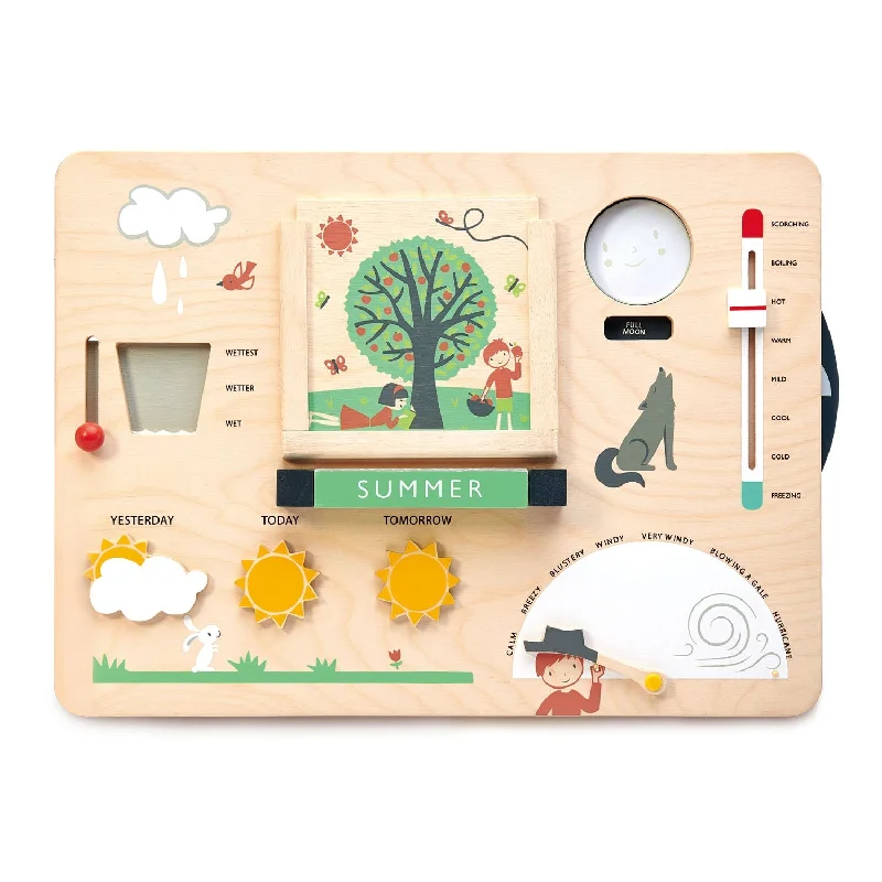 Tender Leaf Toys Weather Watch